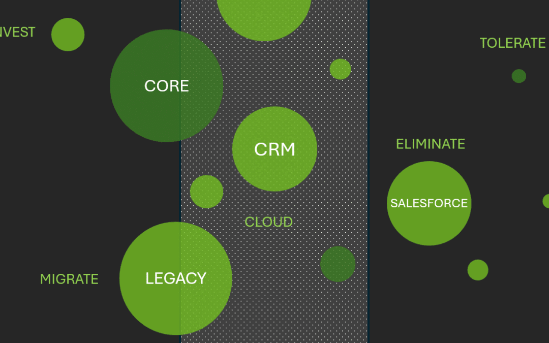 An Introductory Guide to Application Portfolio Management