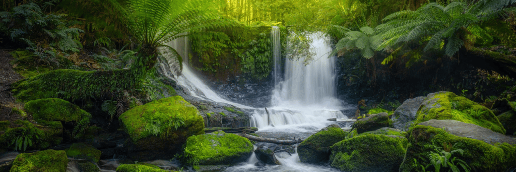 Value Stream DevOps with TEM